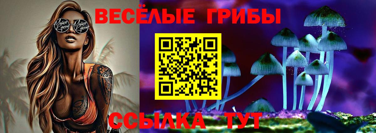 Галлюциногенные грибы ЛСД Чайковский