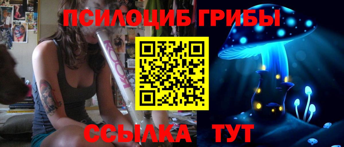 Чайковский  Псилоцибиновые грибы ЛСД  Вход с VPN 