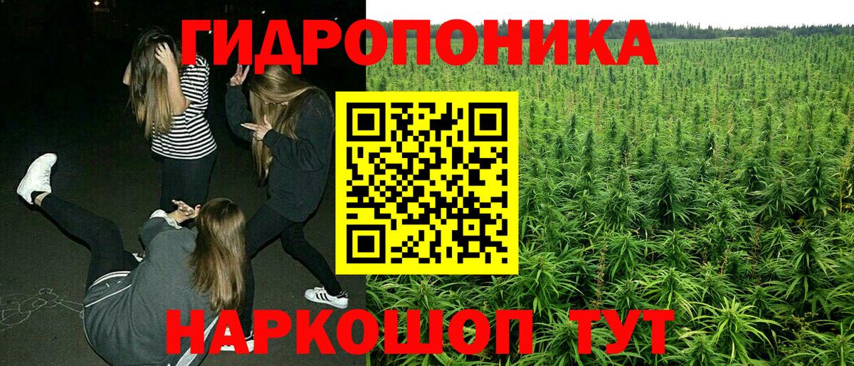 МАРИХУАНА гибрид  Канабис VHQ  Марихуана THC 21%  Вход с VPN  Чайковский 